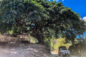 campervan costa rica