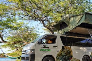 WhatsApp Image 2023-11-16 at 11.49.41 AM (1)