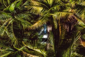 WhatsApp Image 2023-11-16 at 11.49.43 AM