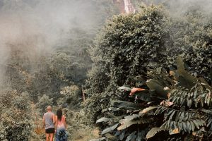 WhatsApp Image 2023-11-16 at 12.01.40 PM (1)