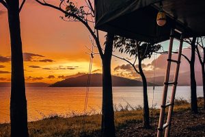 WhatsApp Image 2023-11-16 at 12.02.29 PM (1)